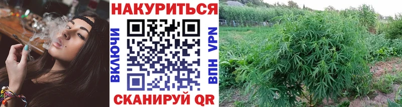 Галлюциногенные грибы Амурск
