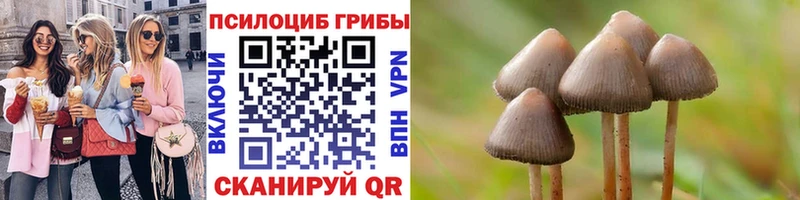 Псилоцибиновые грибы прущие грибы  Купить  Амурск 